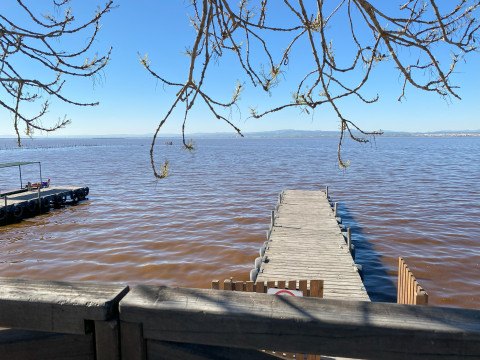 Süßwasserseee bei la Albufera